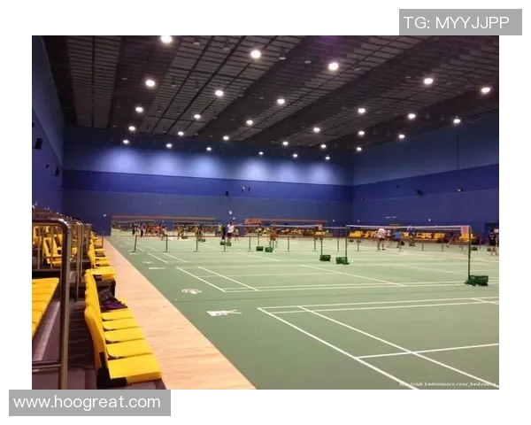 南京羽毛球队阵地战分析与反思：得失背后的深层原因探讨